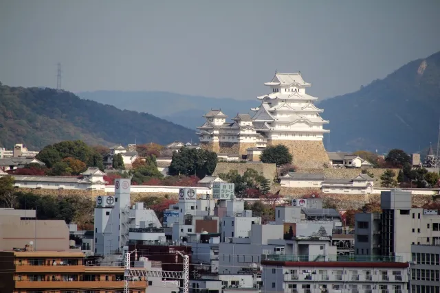 兵庫県　廃車買取